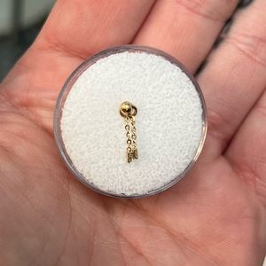 Pupil Hall Extra Extra Try Tassel Pin End